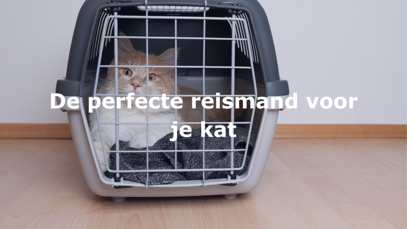Harde Draagmanden,kat draagmanden