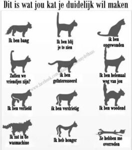 Katten Staart Taal